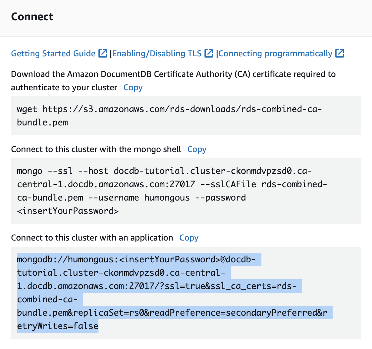 AWS DocumentDB Connection string form on Humongous