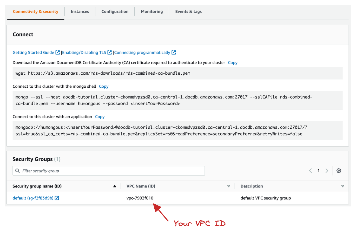 AWS DocumentDB VPC ID